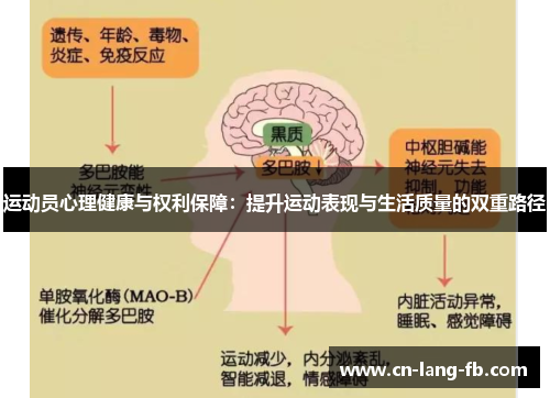 运动员心理健康与权利保障:提升运动表现与生活质量的双重路径