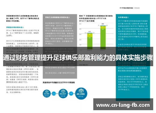 通过财务管理提升足球俱乐部盈利能力的具体实施步骤