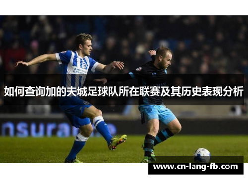 如何查询加的夫城足球队所在联赛及其历史表现分析