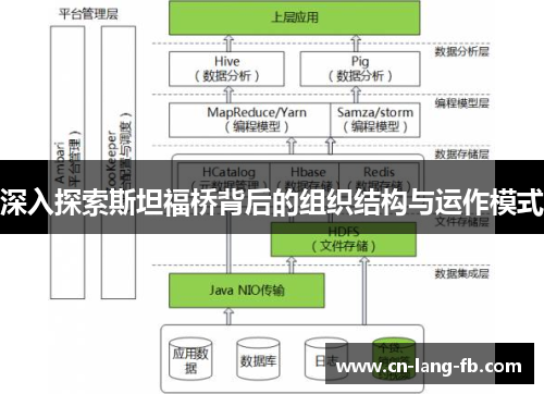 深入探索斯坦福桥背后的组织结构与运作模式