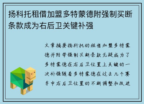 扬科托租借加盟多特蒙德附强制买断条款成为右后卫关键补强 扬科托租借加盟多特蒙德附强制买断条款成为右后卫关键补强